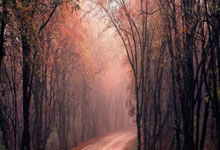 九游体育官网:霍启刚主动让C位给她,一场高峰会,疑似霍家将有新成员加入?.