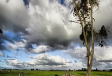 程帅澎20分琼斯24+11+7 浙江擒龙狮获得7连胜.