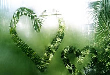 九游体育官网：[图]欧冠-福登传射哈兰德破门 曼城4-0布拉迪斯拉发.