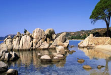 尹波 | 癞蛤蟆还在琢磨天鹅肉,穷光蛋已无续弦心.